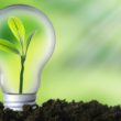 Empresa de Energía Renovable